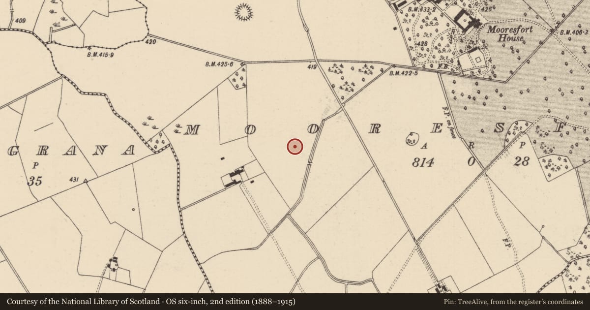 Ordnance Survey six-inch map, 2nd edition (1888–1915) covering the location of Barrow - ditch barrow, Mooresfort, County Tipperary South, with a pin at the register's coordinates