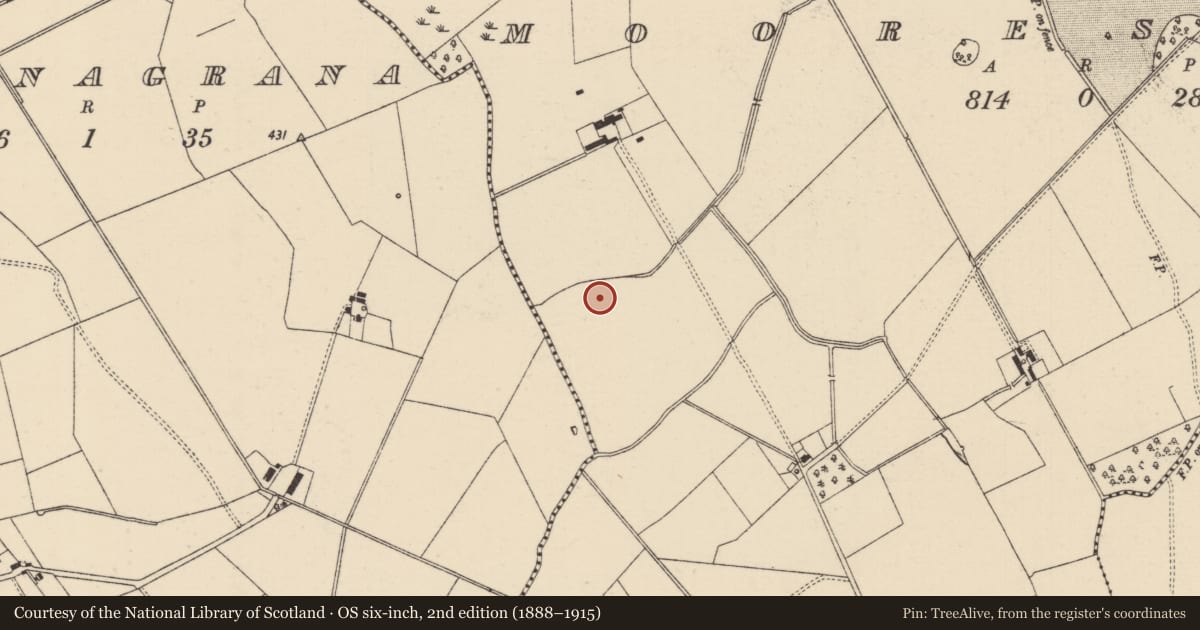 Ordnance Survey six-inch map, 2nd edition (1888–1915) covering the location of Barrow - ditch barrow, Mooresfort, County Tipperary South, with a pin at the register's coordinates