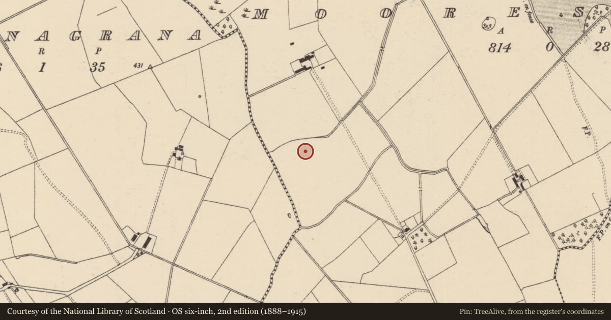 Ordnance Survey six-inch map, 2nd edition (1888–1915) covering the location of Barrow - ring-barrow, Mooresfort, County Tipperary South, with a pin at the register's coordinates