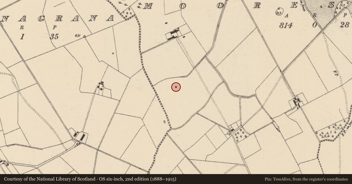 Ordnance Survey six-inch map, 2nd edition (1888–1915) covering the location of Barrow - ditch barrow, Mooresfort, County Tipperary South, with a pin at the register's coordinates