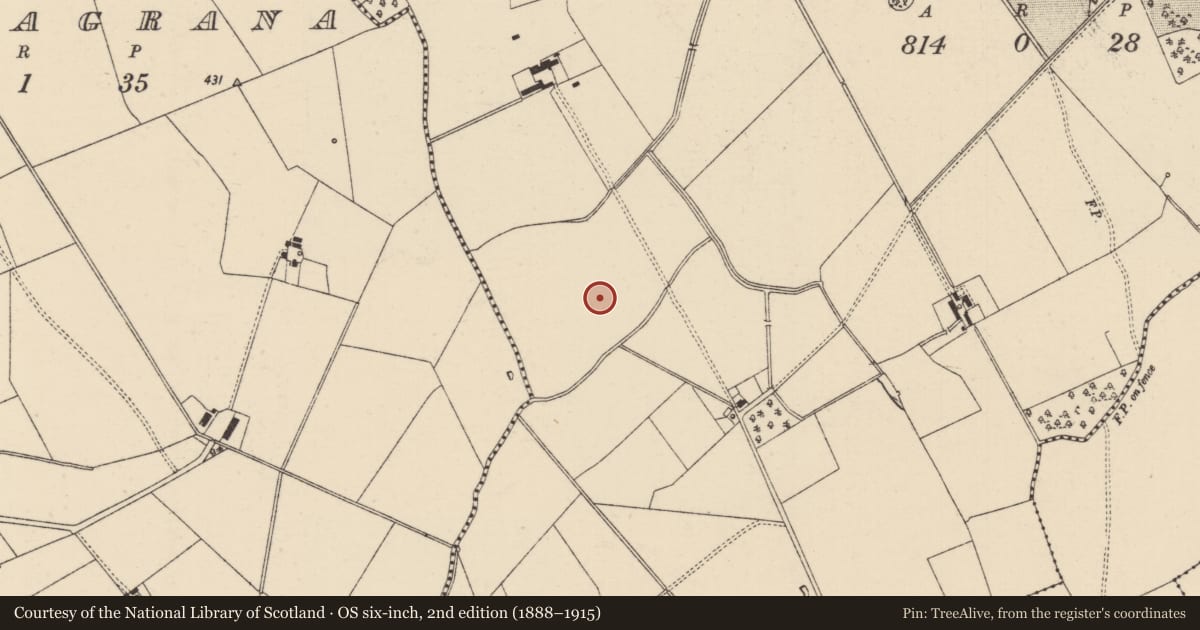 Ordnance Survey six-inch map, 2nd edition (1888–1915) covering the location of Barrow - ditch barrow, Mooresfort, County Tipperary South, with a pin at the register's coordinates
