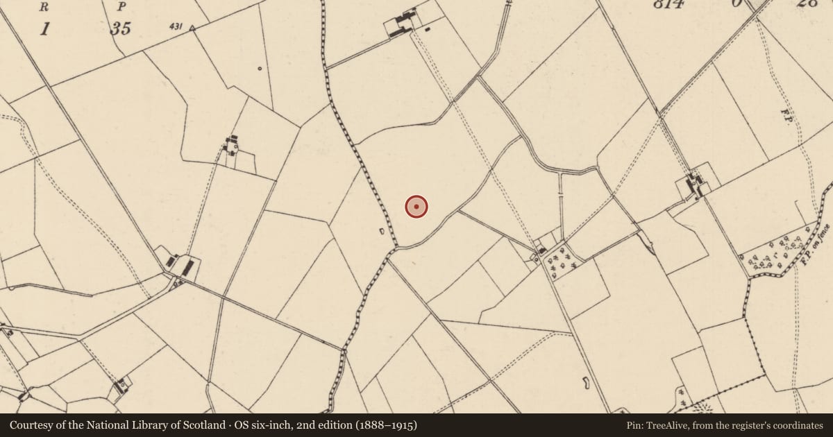 Ordnance Survey six-inch map, 2nd edition (1888–1915) covering the location of Barrow - ditch barrow, Mooresfort, County Tipperary South, with a pin at the register's coordinates