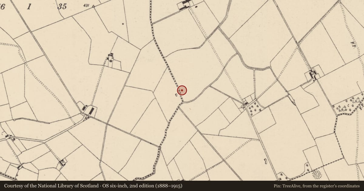 Ordnance Survey six-inch map, 2nd edition (1888–1915) covering the location of Barrow - ditch barrow, Mooresfort, County Tipperary South, with a pin at the register's coordinates
