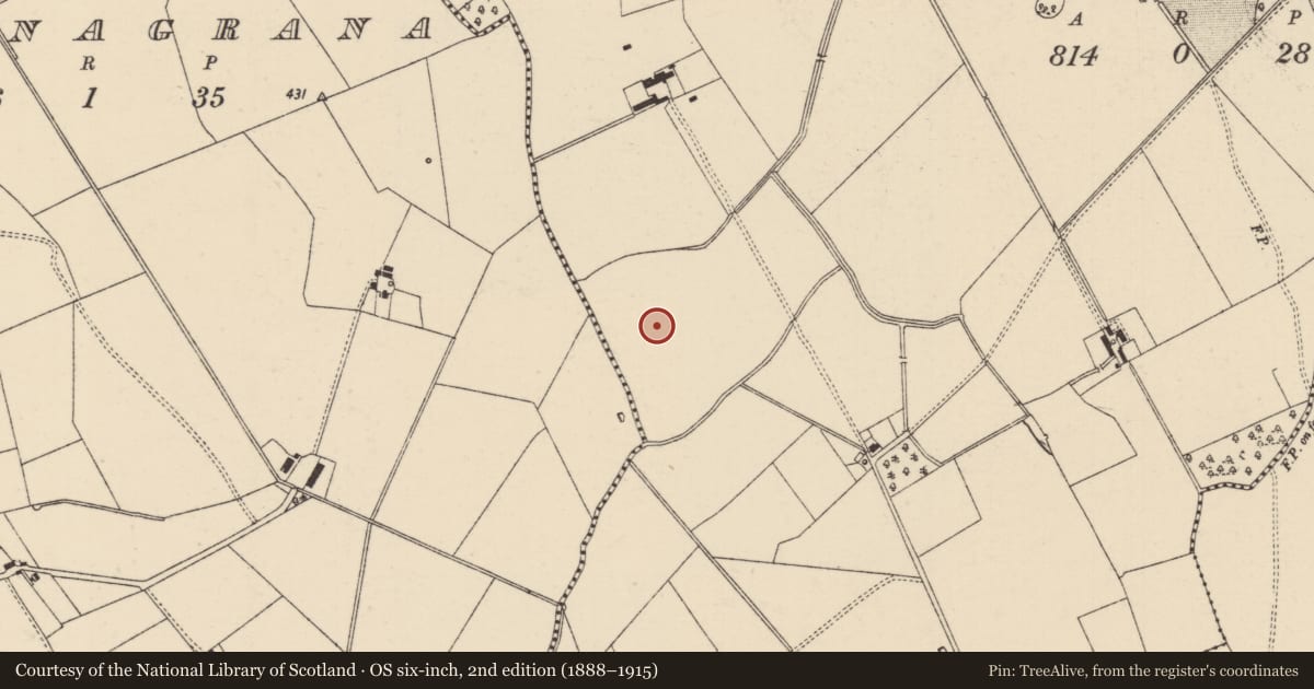 Ordnance Survey six-inch map, 2nd edition (1888–1915) covering the location of Barrow - embanked barrow, Mooresfort, County Tipperary South, with a pin at the register's coordinates