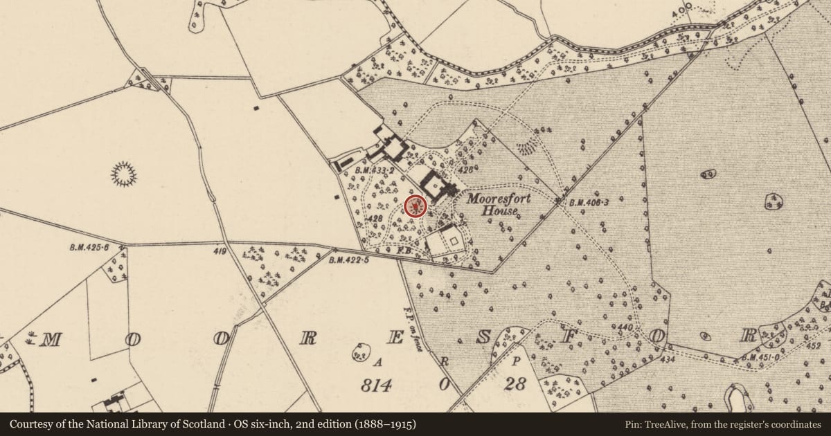 Ordnance Survey six-inch map, 2nd edition (1888–1915) covering the location of Mound, Mooresfort, County Tipperary South, with a pin at the register's coordinates