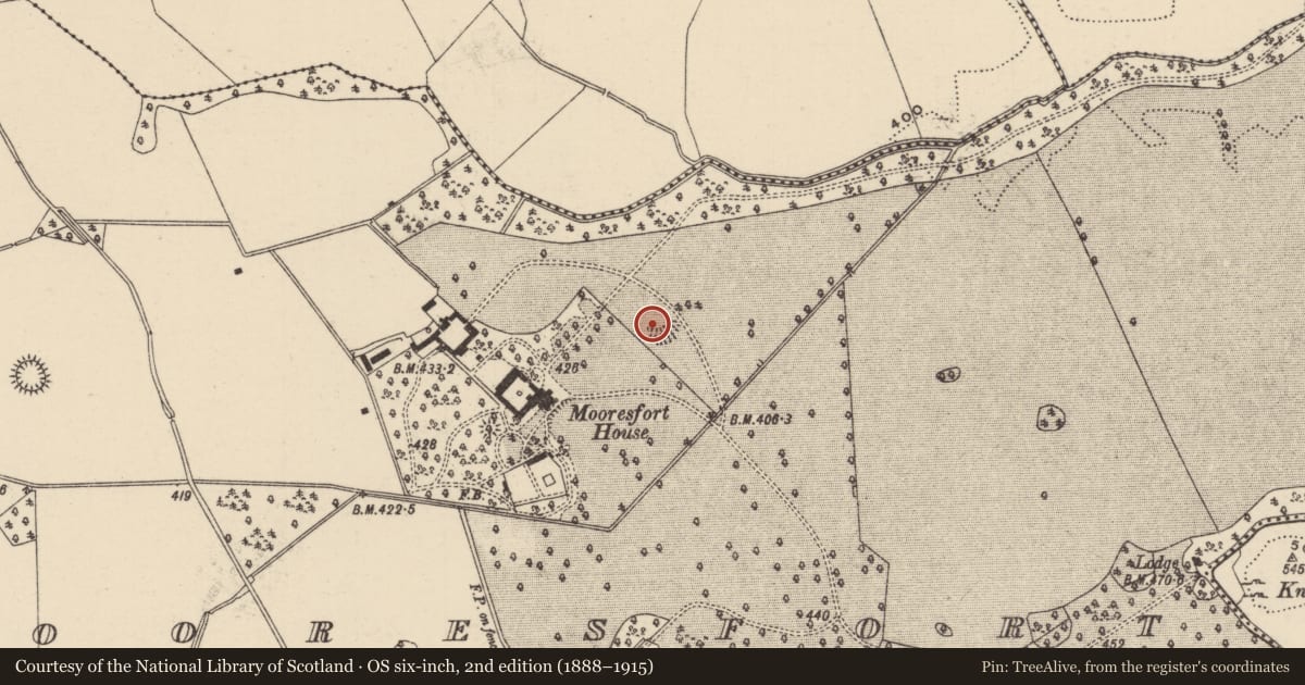Ordnance Survey six-inch map, 2nd edition (1888–1915) covering the location of Barrow - ditch barrow, Mooresfort, County Tipperary South, with a pin at the register's coordinates
