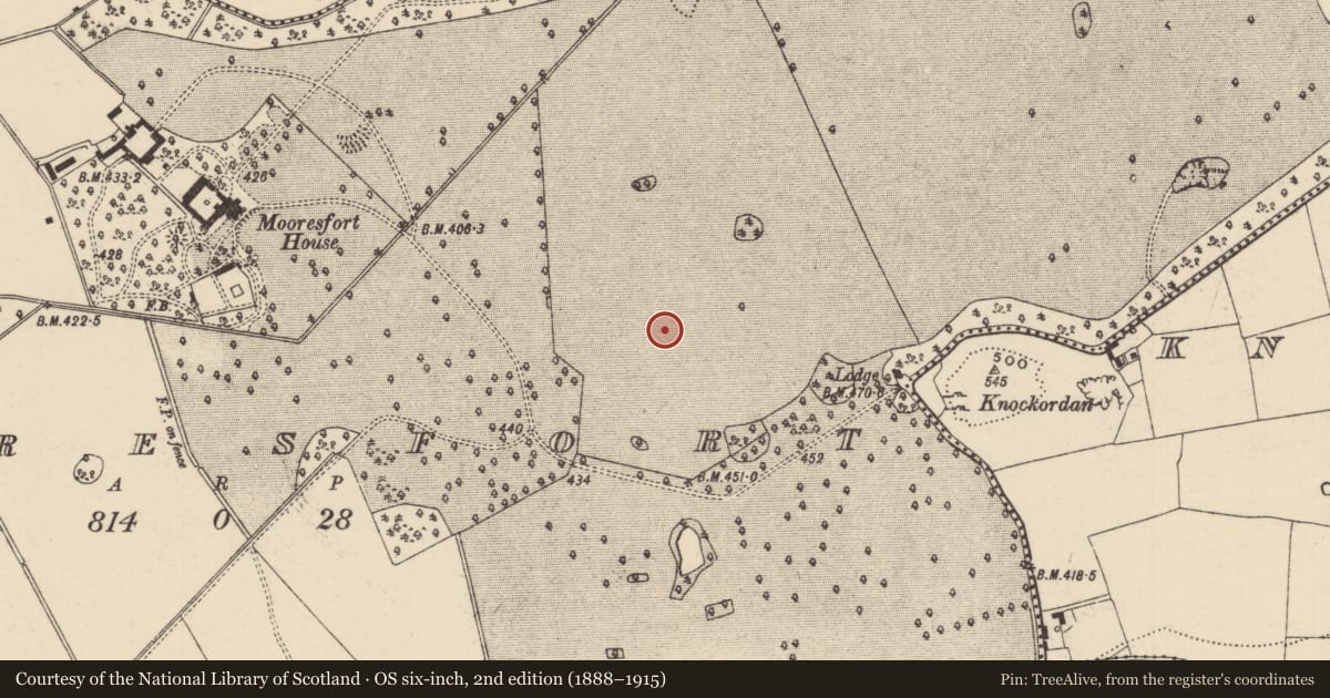 Ordnance Survey six-inch map, 2nd edition (1888–1915) covering the location of Barrow - ditch barrow, Mooresfort, County Tipperary South, with a pin at the register's coordinates