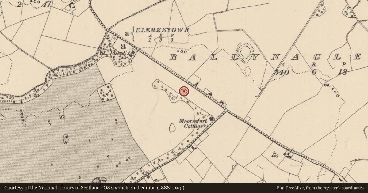 Ordnance Survey six-inch map, 2nd edition (1888–1915) covering the location of Castle - ringwork, Mooresfort, County Tipperary South, with a pin at the register's coordinates