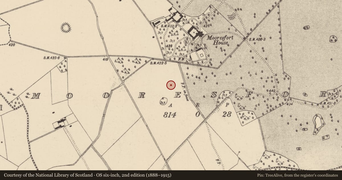 Ordnance Survey six-inch map, 2nd edition (1888–1915) covering the location of Barrow - ring-barrow, Mooresfort, County Tipperary South, with a pin at the register's coordinates