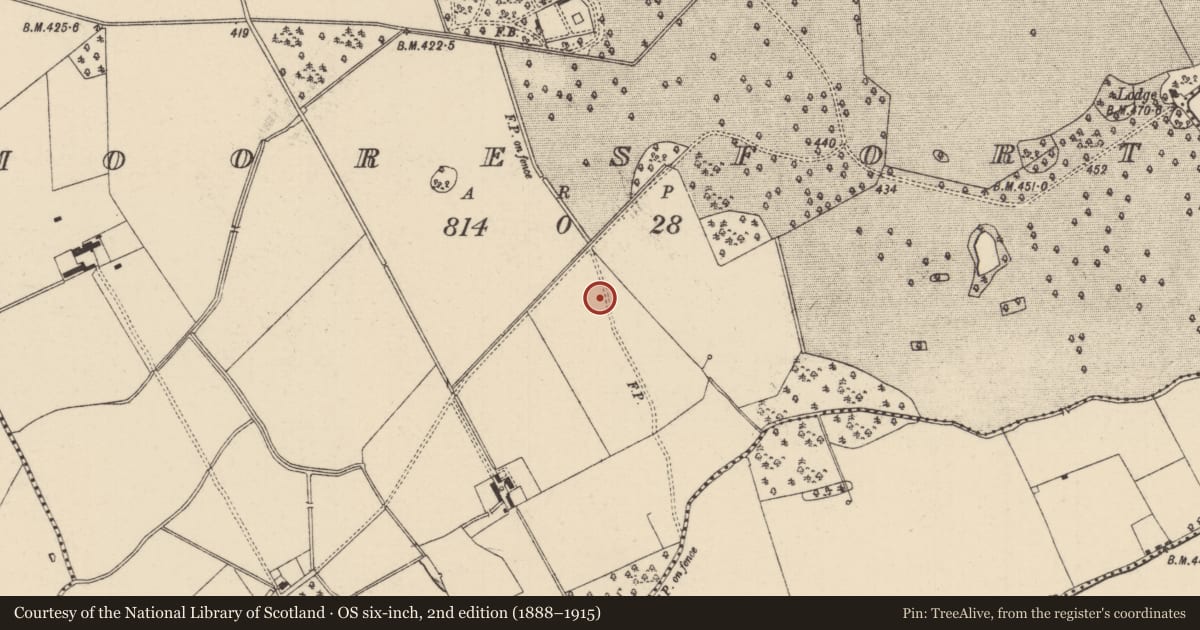 Ordnance Survey six-inch map, 2nd edition (1888–1915) covering the location of Barrow - ditch barrow, Mooresfort, County Tipperary South, with a pin at the register's coordinates