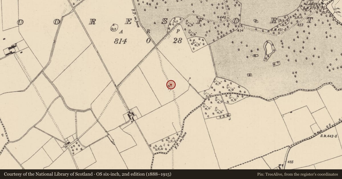 Ordnance Survey six-inch map, 2nd edition (1888–1915) covering the location of Barrow - ditch barrow, Mooresfort, County Tipperary South, with a pin at the register's coordinates