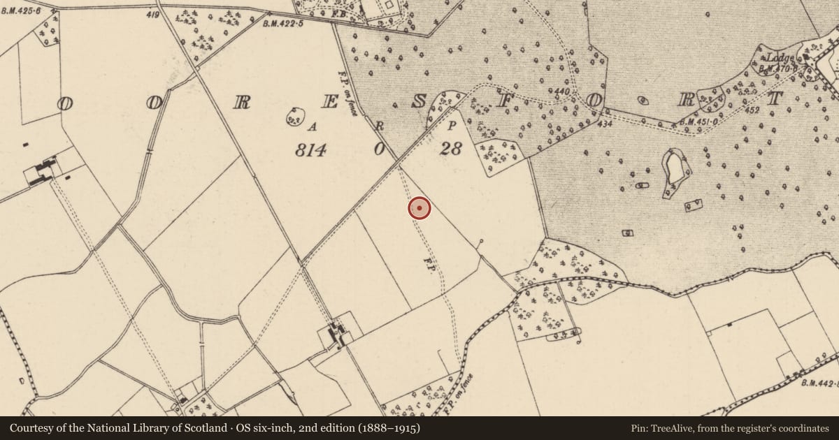 Ordnance Survey six-inch map, 2nd edition (1888–1915) covering the location of Enclosure, Mooresfort, County Tipperary South, with a pin at the register's coordinates