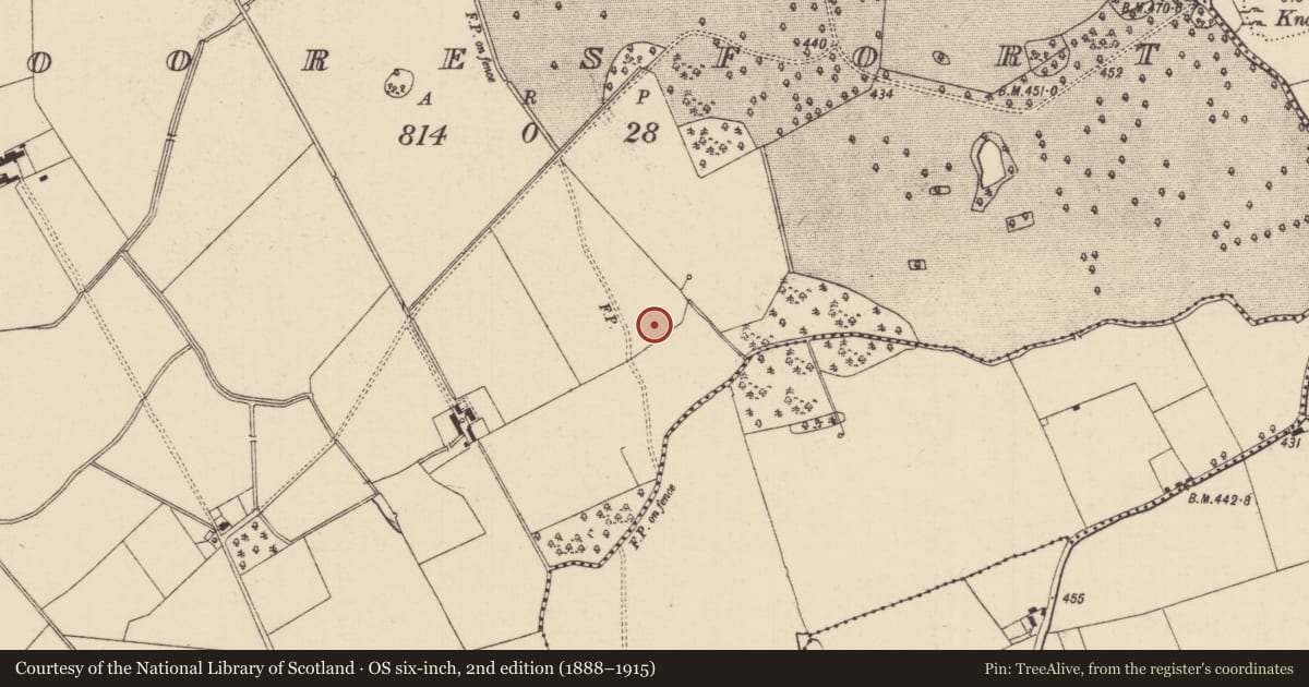 Ordnance Survey six-inch map, 2nd edition (1888–1915) covering the location of Enclosure, Mooresfort, County Tipperary South, with a pin at the register's coordinates