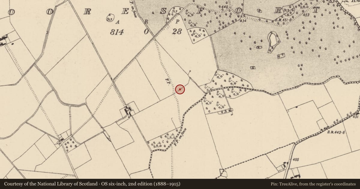 Ordnance Survey six-inch map, 2nd edition (1888–1915) covering the location of Barrow - ditch barrow, Mooresfort, County Tipperary South, with a pin at the register's coordinates