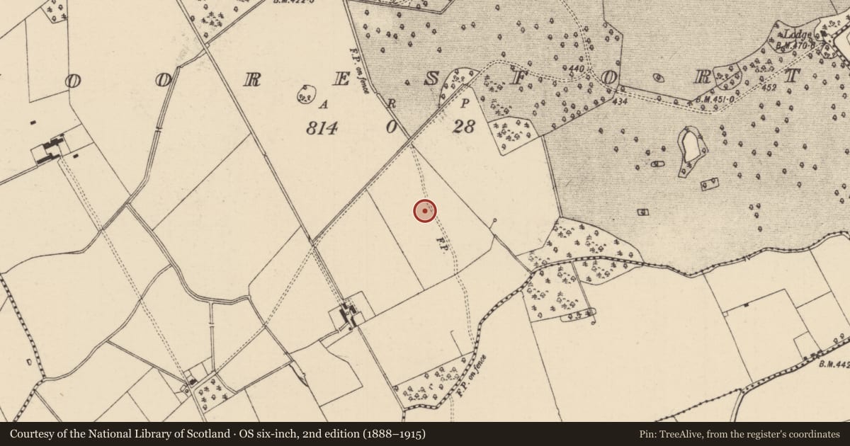 Ordnance Survey six-inch map, 2nd edition (1888–1915) covering the location of Enclosure, Mooresfort, County Tipperary South, with a pin at the register's coordinates