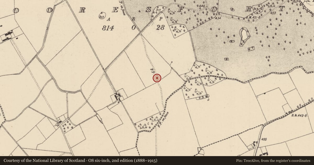Ordnance Survey six-inch map, 2nd edition (1888–1915) covering the location of Ring-ditch, Mooresfort, County Tipperary South, with a pin at the register's coordinates