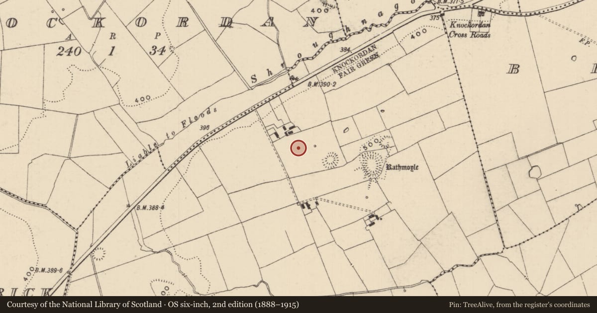 Ordnance Survey six-inch map, 2nd edition (1888–1915) covering the location of Enclosure, Ballynamrossagh, County Tipperary South, with a pin at the register's coordinates