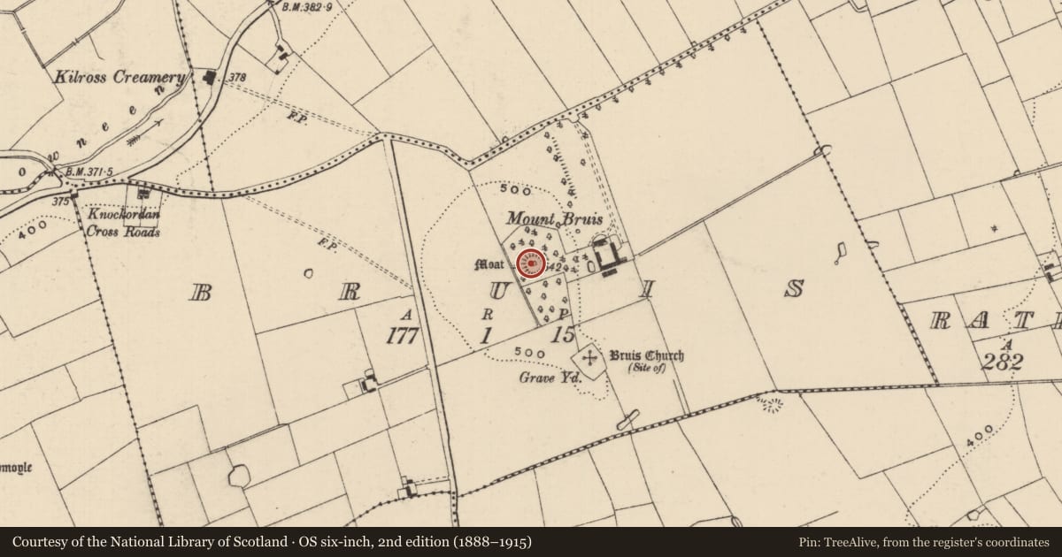 Ordnance Survey six-inch map, 2nd edition (1888–1915) covering the location of Castle - motte, Bruis, County Tipperary South, with a pin at the register's coordinates