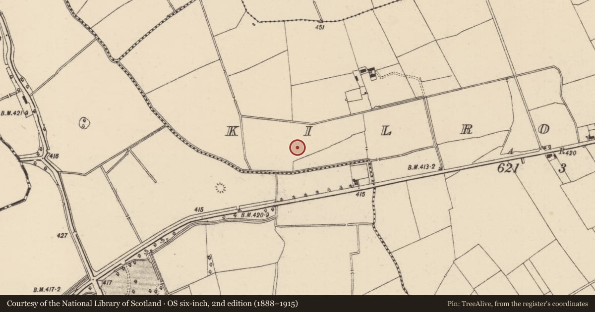 Ordnance Survey six-inch map, 2nd edition (1888–1915) covering the location of Field system, Ballywire, Kilross (Clonbeg Par.), County Tipperary South, with a pin at the register's coordinates
