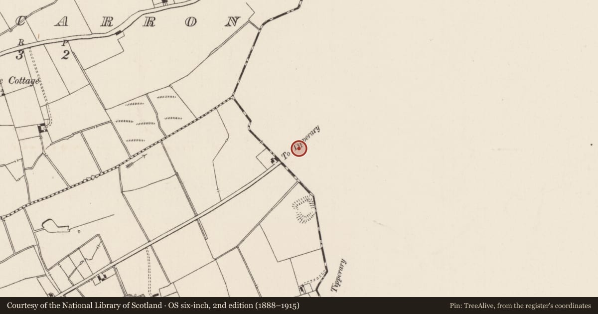 Ordnance Survey six-inch map, 2nd edition (1888–1915) covering the location of Barrow - stepped barrow, Ballywire, County Tipperary South, with a pin at the register's coordinates