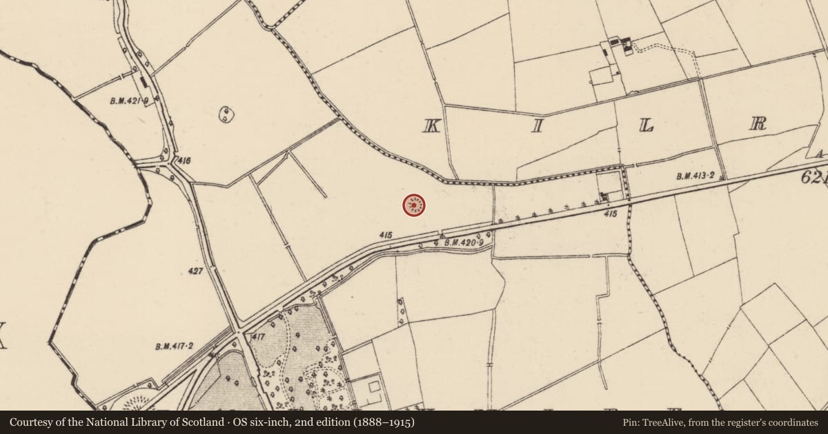 Ordnance Survey six-inch map, 2nd edition (1888–1915) covering the location of Barrow - unclassified, Ballywire, County Tipperary South, with a pin at the register's coordinates