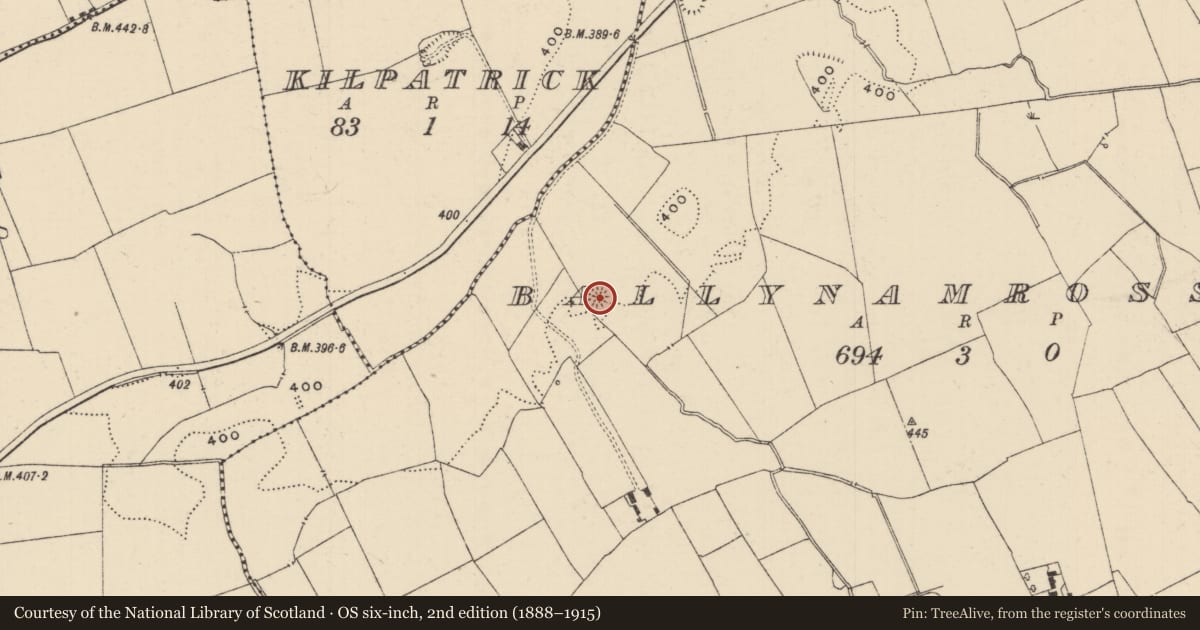 Ordnance Survey six-inch map, 2nd edition (1888–1915) covering the location of Ringfort - cashel, Ballynamrossagh, County Tipperary South, with a pin at the register's coordinates