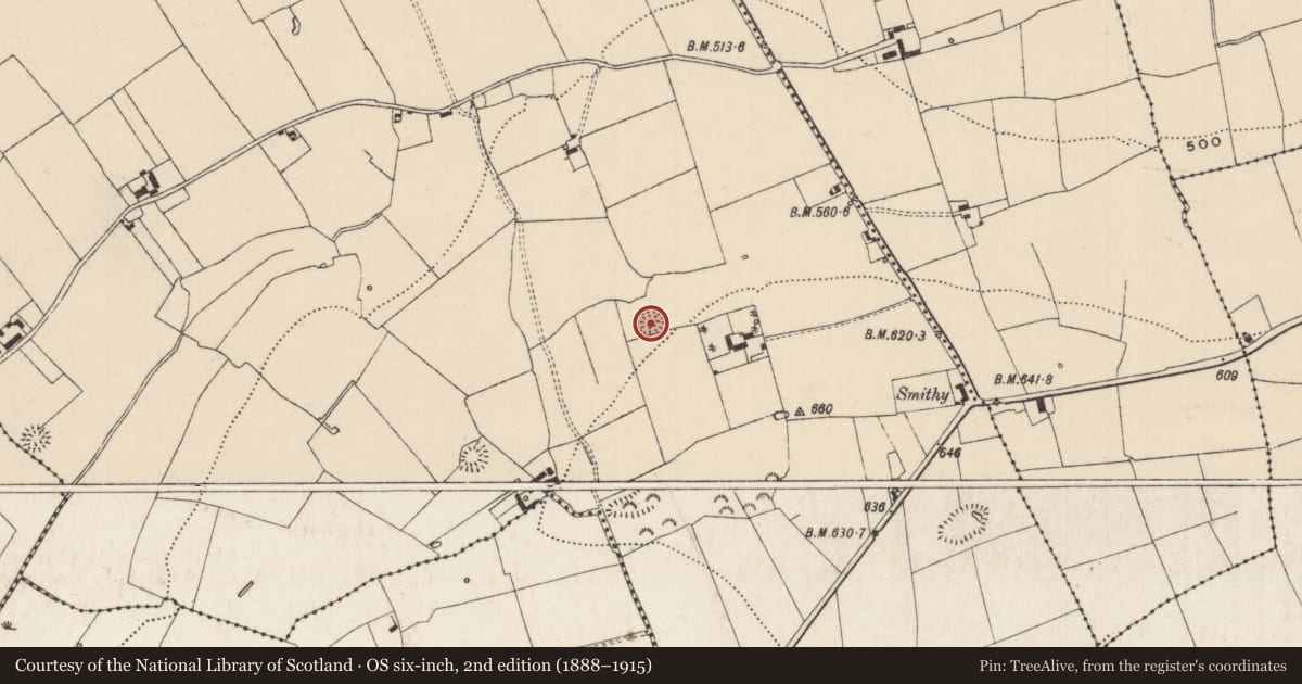 Ordnance Survey six-inch map, 2nd edition (1888–1915) covering the location of Ringfort - rath, Kilross (Clonbeg Par.), County Tipperary South, with a pin at the register's coordinates