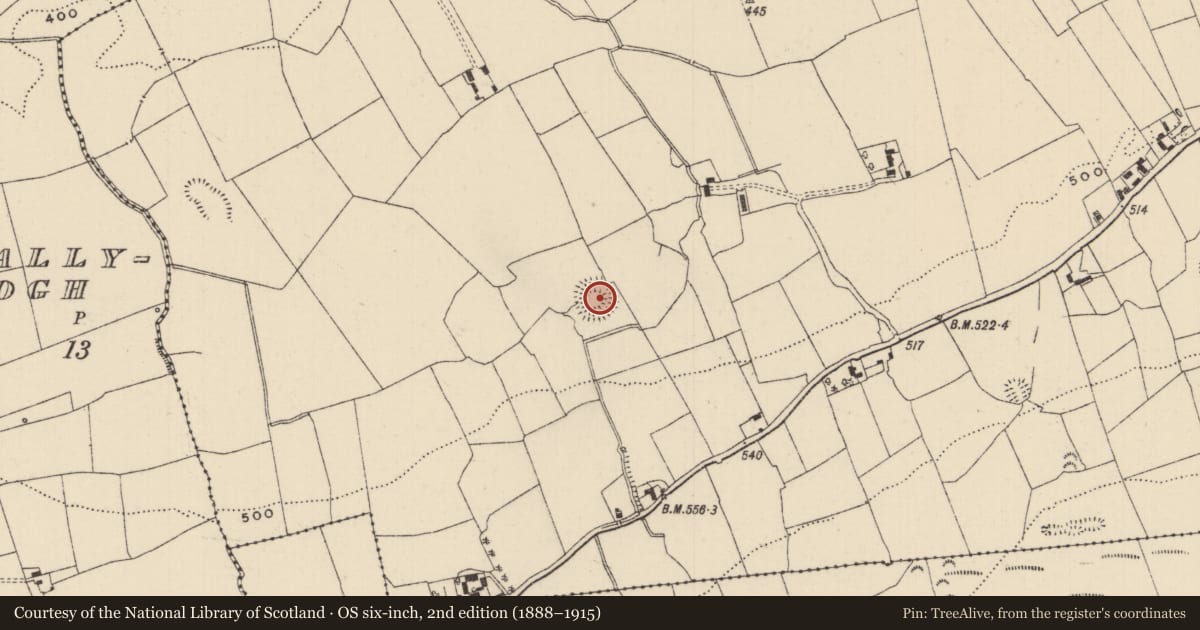 Ordnance Survey six-inch map, 2nd edition (1888–1915) covering the location of Ringfort - rath, Ballynamrossagh, County Tipperary South, with a pin at the register's coordinates