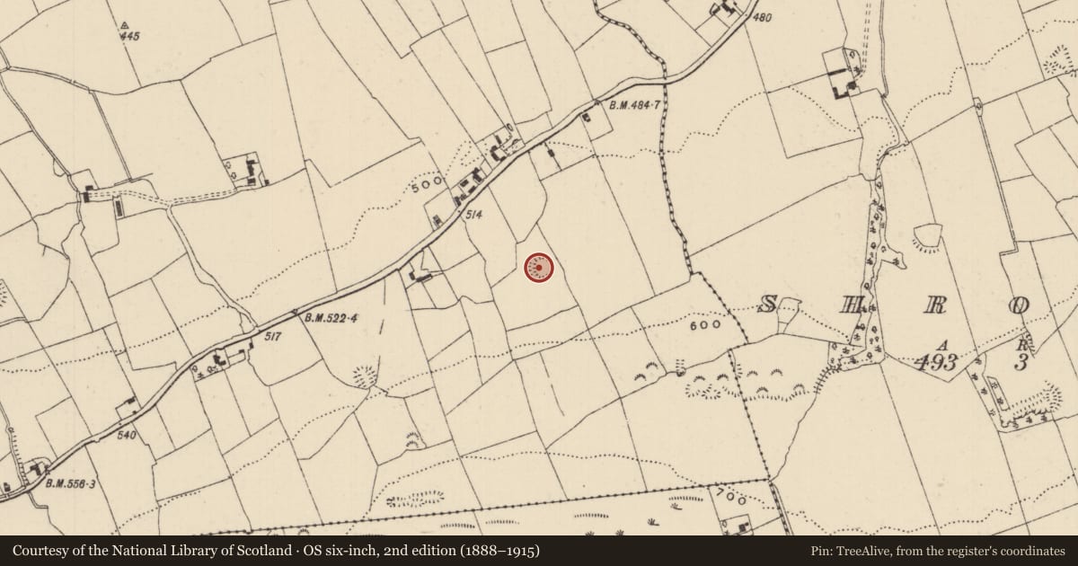 Ordnance Survey six-inch map, 2nd edition (1888–1915) covering the location of Ringfort - rath, Ballynamrossagh, County Tipperary South, with a pin at the register's coordinates