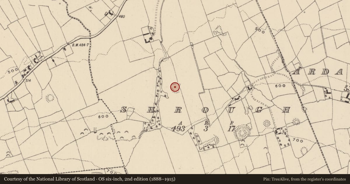 Ordnance Survey six-inch map, 2nd edition (1888–1915) covering the location of Enclosure, Shrough, County Tipperary South, with a pin at the register's coordinates