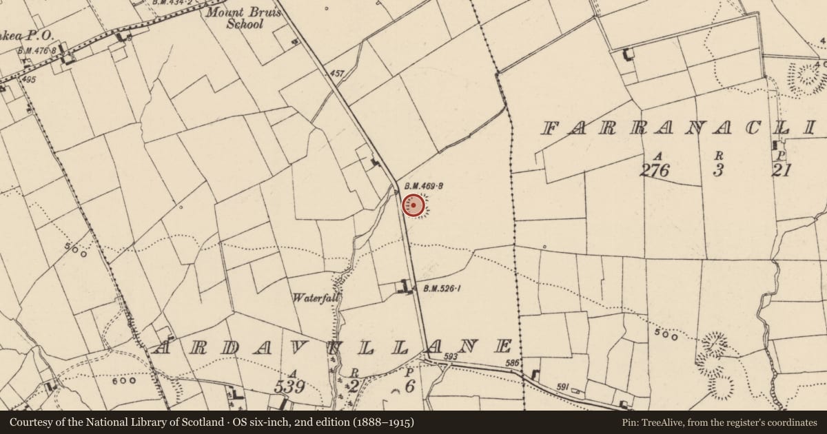 Ordnance Survey six-inch map, 2nd edition (1888–1915) covering the location of Moated site, Ardavullane, County Tipperary South, with a pin at the register's coordinates