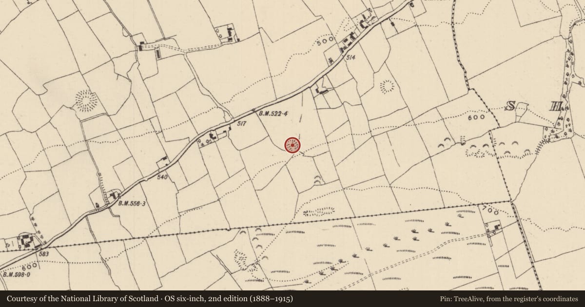 Ordnance Survey six-inch map, 2nd edition (1888–1915) covering the location of Enclosure, Ballynamrossagh, County Tipperary South, with a pin at the register's coordinates