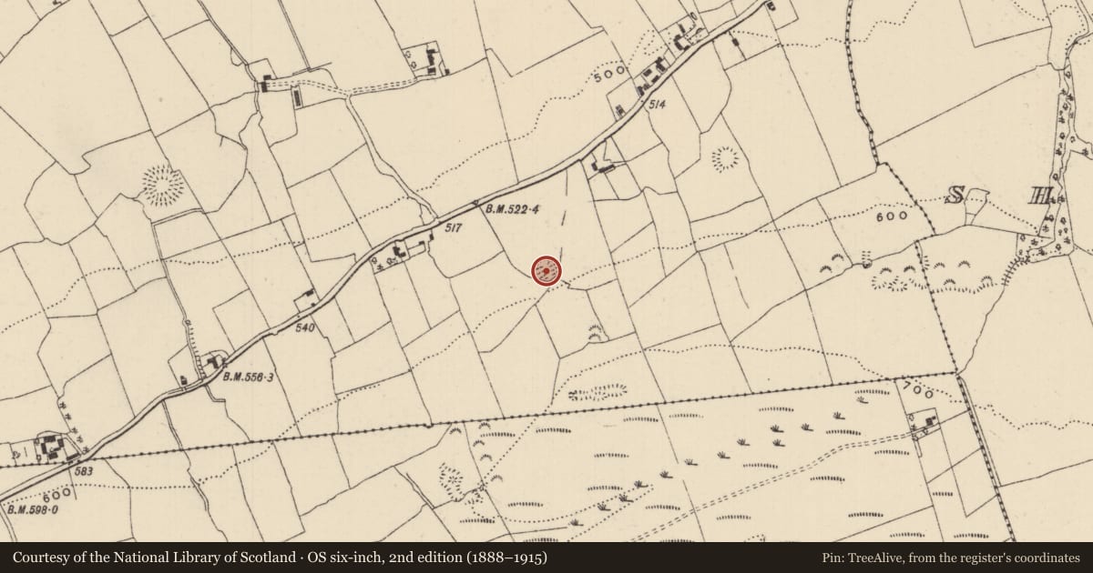 Ordnance Survey six-inch map, 2nd edition (1888–1915) covering the location of Barrow - ring-barrow, Ballynamrossagh, County Tipperary South, with a pin at the register's coordinates