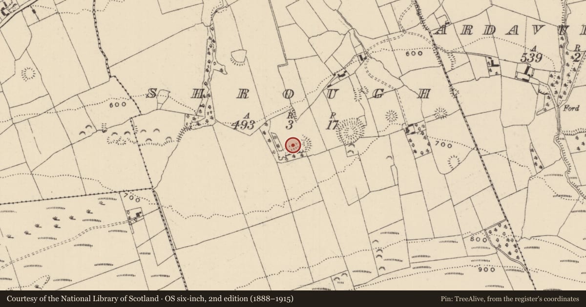 Ordnance Survey six-inch map, 2nd edition (1888–1915) covering the location of Quarry, Shrough, County Tipperary South, with a pin at the register's coordinates