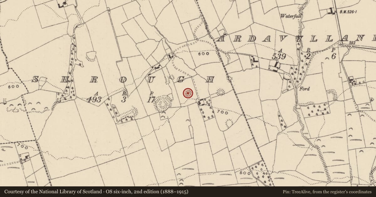 Ordnance Survey six-inch map, 2nd edition (1888–1915) covering the location of Ringfort - rath, Shrough, County Tipperary South, with a pin at the register's coordinates