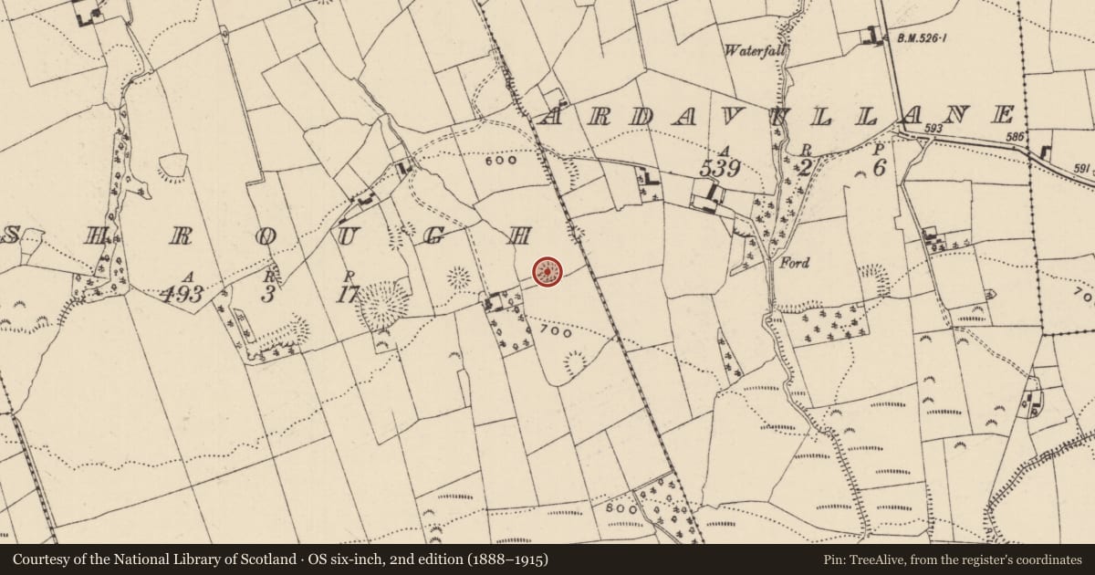 Ordnance Survey six-inch map, 2nd edition (1888–1915) covering the location of Ringfort - rath, Shrough, County Tipperary South, with a pin at the register's coordinates