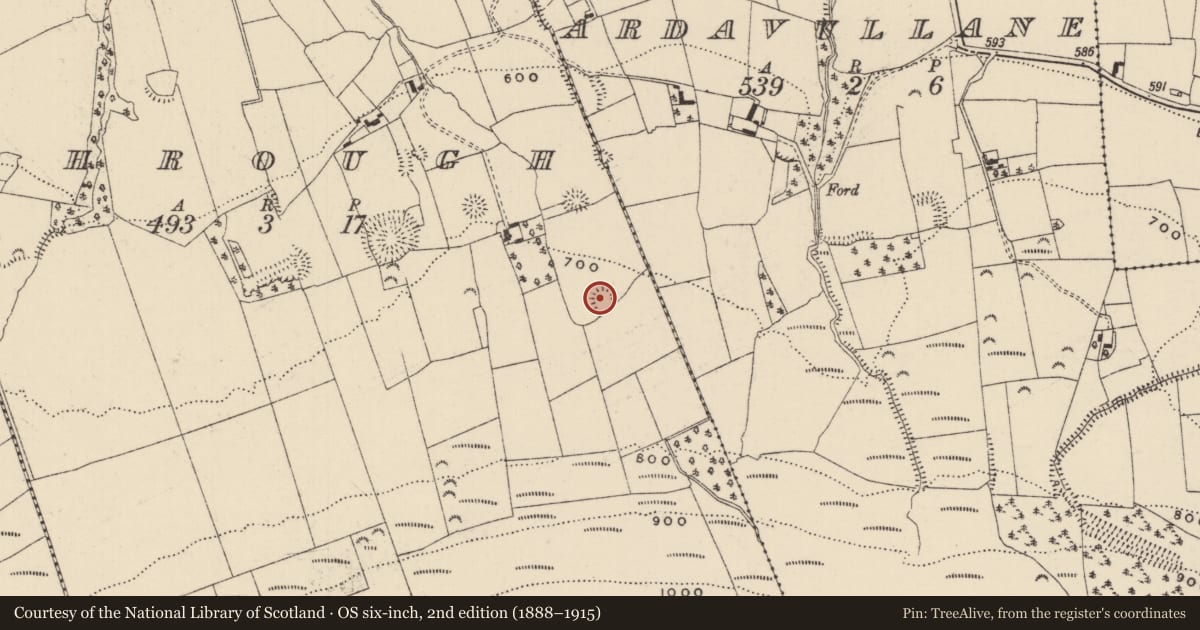 Ordnance Survey six-inch map, 2nd edition (1888–1915) covering the location of Ringfort - rath, Shrough, County Tipperary South, with a pin at the register's coordinates