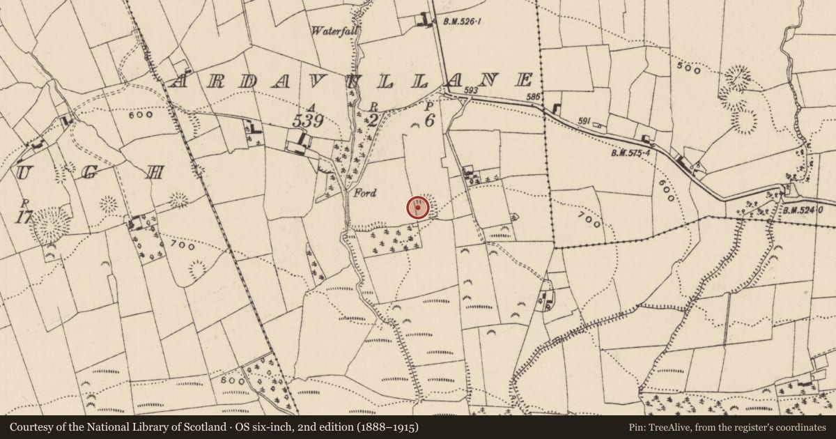 Ordnance Survey six-inch map, 2nd edition (1888–1915) covering the location of House - indeterminate date, Ardavullane, County Tipperary South, with a pin at the register's coordinates