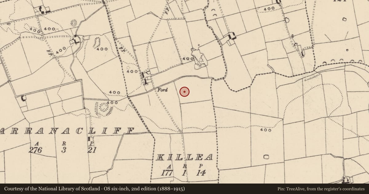 Ordnance Survey six-inch map, 2nd edition (1888–1915) covering the location of Enclosure, Killea (Bruis Par.), County Tipperary South, with a pin at the register's coordinates