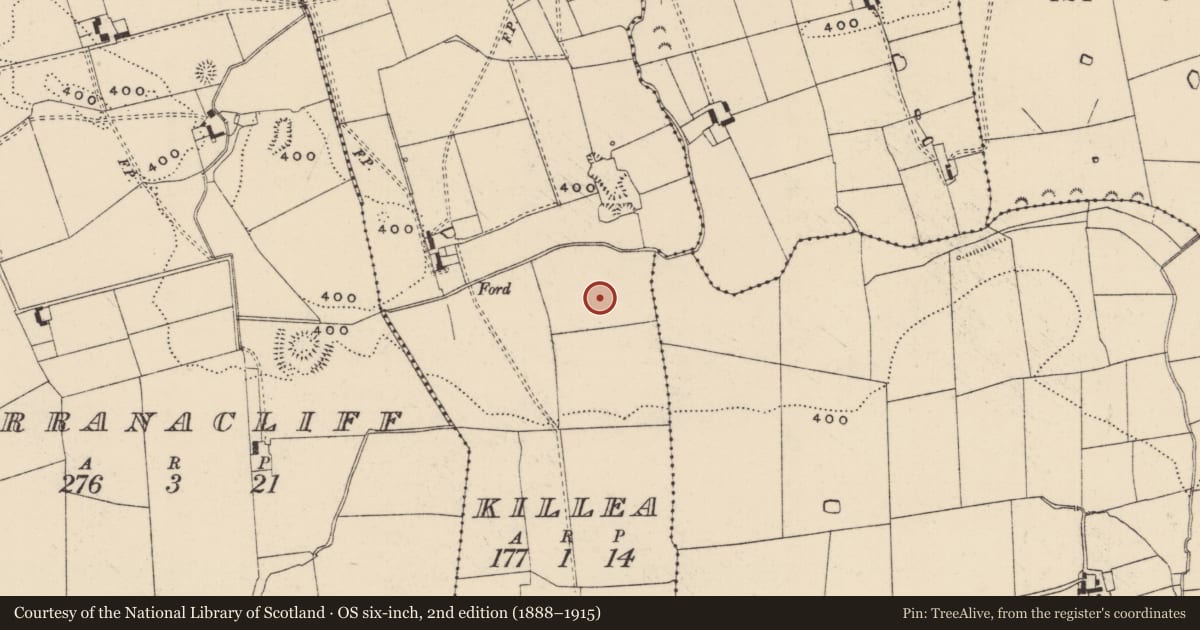 Ordnance Survey six-inch map, 2nd edition (1888–1915) covering the location of Ringfort - rath, Killea (Bruis Par.), County Tipperary South, with a pin at the register's coordinates
