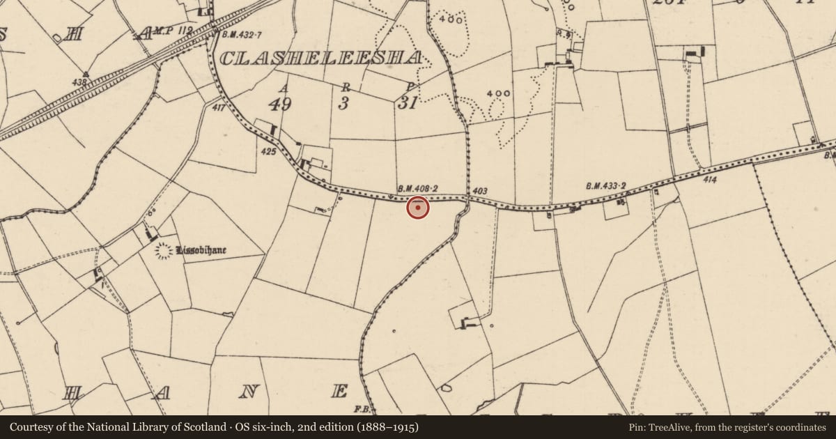 Ordnance Survey six-inch map, 2nd edition (1888–1915) covering the location of Moated site, Lissobihane, County Tipperary South, with a pin at the register's coordinates