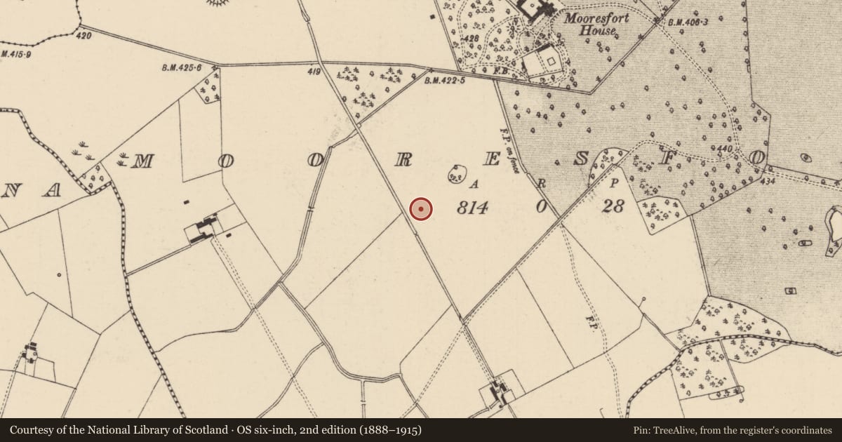Ordnance Survey six-inch map, 2nd edition (1888–1915) covering the location of Barrow - ditch barrow, Mooresfort, County Tipperary South, with a pin at the register's coordinates