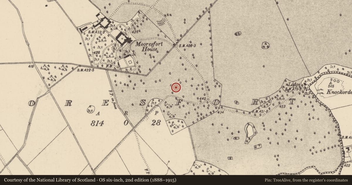 Ordnance Survey six-inch map, 2nd edition (1888–1915) covering the location of Barrow - ditch barrow, Mooresfort, County Tipperary South, with a pin at the register's coordinates