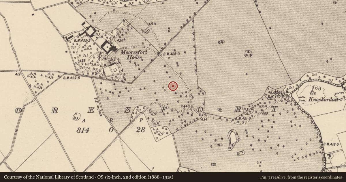 Ordnance Survey six-inch map, 2nd edition (1888–1915) covering the location of Barrow - ditch barrow, Mooresfort, County Tipperary South, with a pin at the register's coordinates