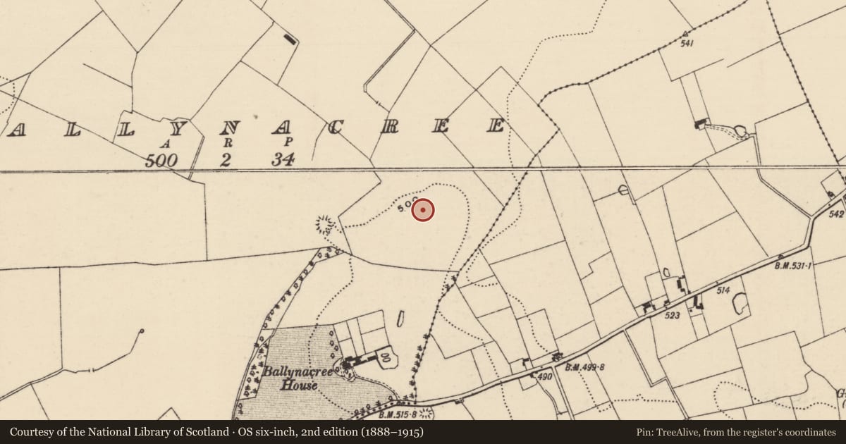 Ordnance Survey six-inch map, 2nd edition (1888–1915) covering the location of Barrow - ditch barrow, Ballynacree, County Tipperary South, with a pin at the register's coordinates