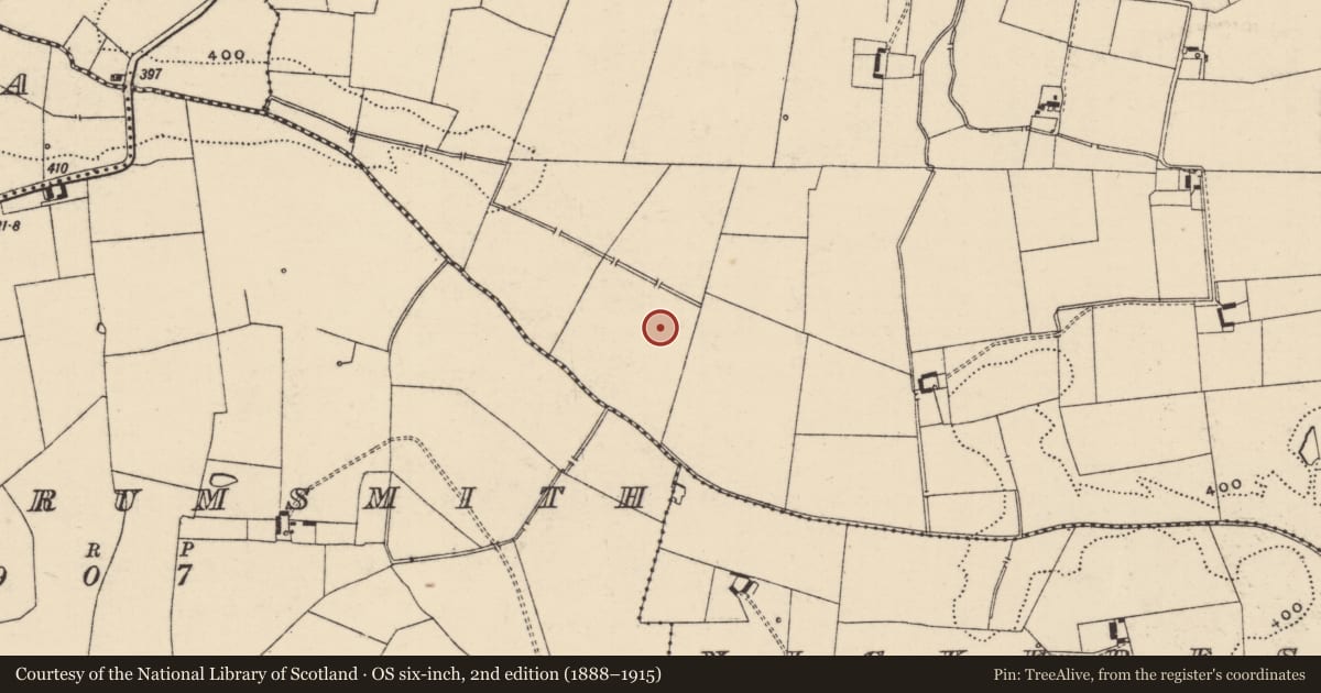 Ordnance Survey six-inch map, 2nd edition (1888–1915) covering the location of Barrow - ring-barrow, Glenbane, County Tipperary South, with a pin at the register's coordinates