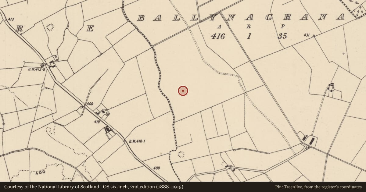 Ordnance Survey six-inch map, 2nd edition (1888–1915) covering the location of Mound, Ballynagrana (Emly Par.), County Tipperary South, with a pin at the register's coordinates