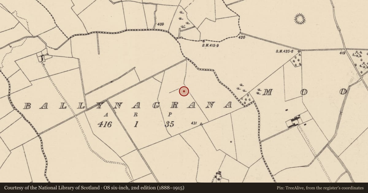 Ordnance Survey six-inch map, 2nd edition (1888–1915) covering the location of Enclosure, Ballynagrana (Emly Par.), County Tipperary South, with a pin at the register's coordinates