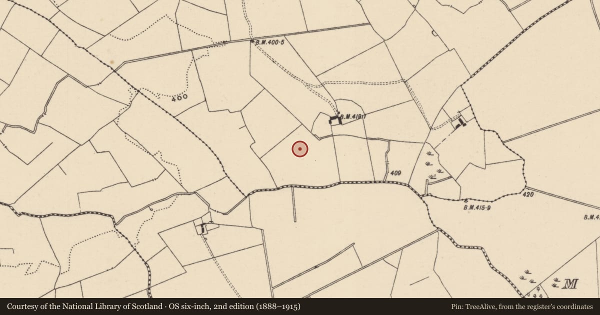 Ordnance Survey six-inch map, 2nd edition (1888–1915) covering the location of Ring-ditch, Lissobihane, County Tipperary South, with a pin at the register's coordinates