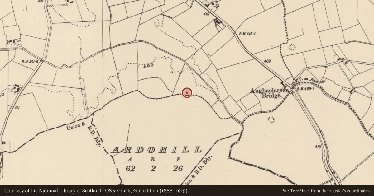 Ordnance Survey six-inch map, 2nd edition (1888–1915) covering the location of Barrow - ring-barrow, Moanmore (Emly Par.), County Tipperary South, with a pin at the register's coordinates